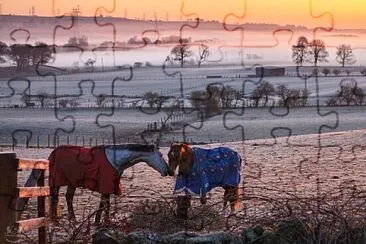 frosty dawn horses jigsaw puzzle