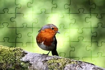 Toy jigsaw puzzle