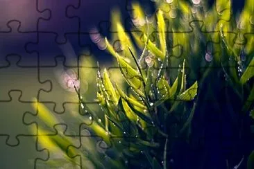 Foto jigsaw puzzle