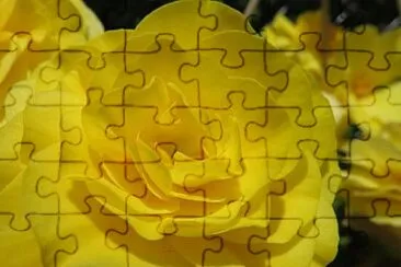 Foto jigsaw puzzle