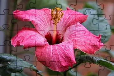 Foto jigsaw puzzle