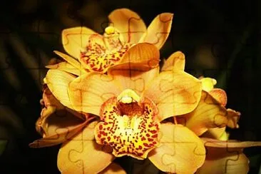 Foto jigsaw puzzle