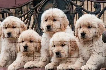 imagem jigsaw puzzle