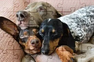 256 jigsaw puzzle