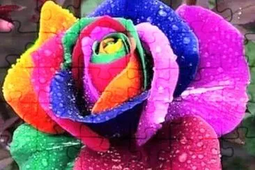 花漾
