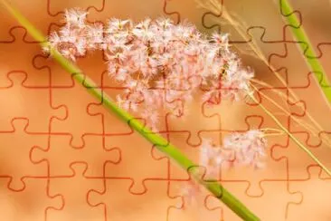 Foto jigsaw puzzle