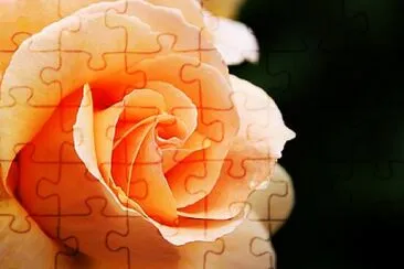 Foto jigsaw puzzle
