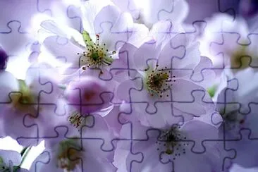 Foto jigsaw puzzle