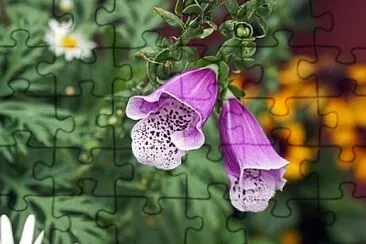Foto jigsaw puzzle
