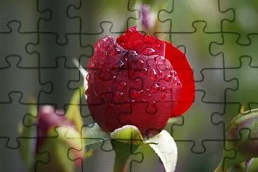 Foto jigsaw puzzle