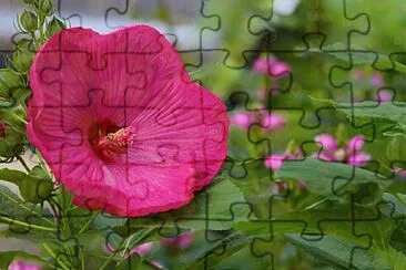 פאזל של Foto