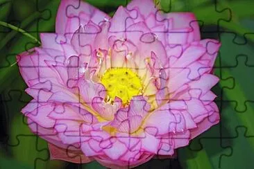 Foto jigsaw puzzle