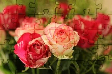 Foto jigsaw puzzle
