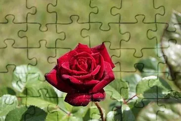 Foto jigsaw puzzle
