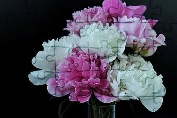 Foto jigsaw puzzle