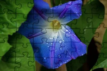 Foto jigsaw puzzle