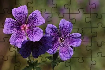 Foto jigsaw puzzle
