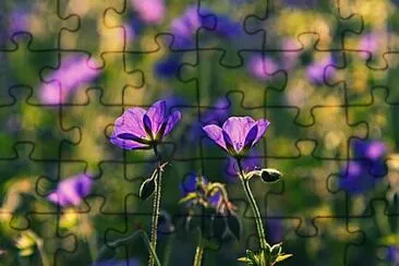 Foto jigsaw puzzle