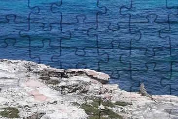 VISITANDO ISLA MUJERES- MEXICO jigsaw puzzle