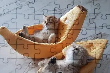 imagem jigsaw puzzle