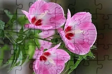 Foto jigsaw puzzle