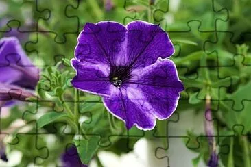 Foto jigsaw puzzle