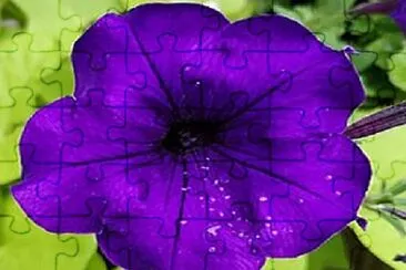 Foto jigsaw puzzle