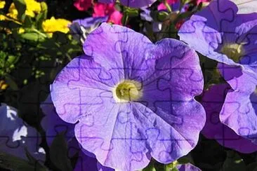 Foto jigsaw puzzle