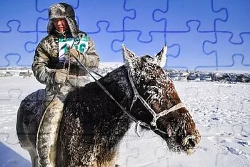 Toy jigsaw puzzle
