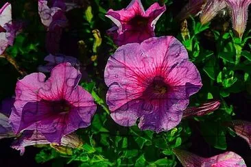 Foto jigsaw puzzle