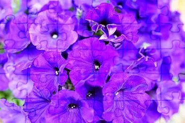 Foto jigsaw puzzle
