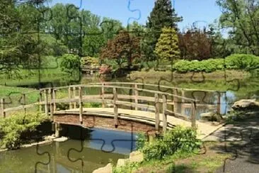Toy jigsaw puzzle