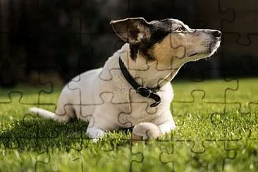 Toy jigsaw puzzle