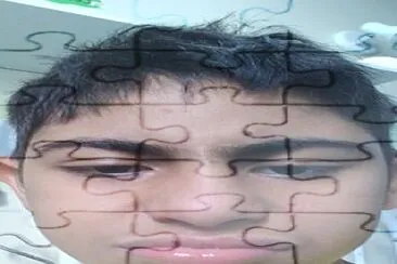  jigsaw puzzle