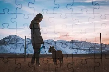 Toy jigsaw puzzle