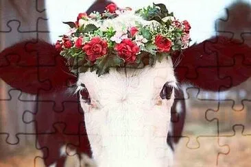 flores jigsaw puzzle