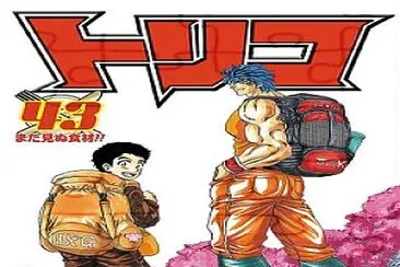 TORIKO - 043 - Final Issue jigsaw puzzle