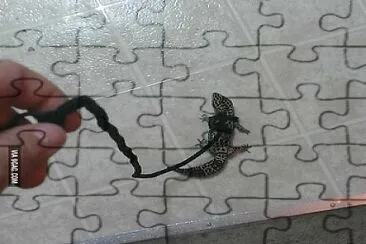 ... jigsaw puzzle