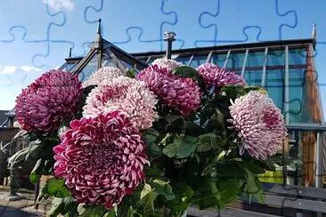 flores jigsaw puzzle