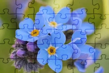 pop jigsaw puzzle