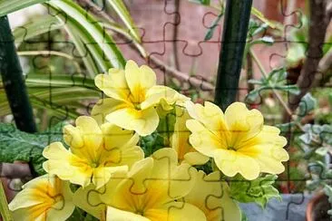imagem jigsaw puzzle