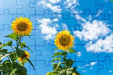 Foto jigsaw puzzle
