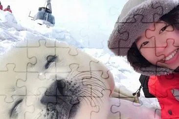 Foca jigsaw puzzle