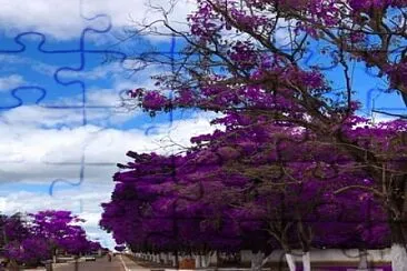 imagem jigsaw puzzle