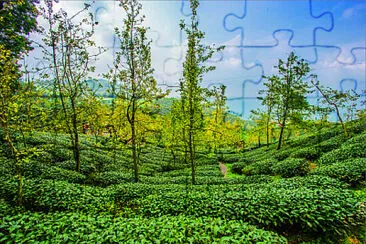 風景 jigsaw puzzle