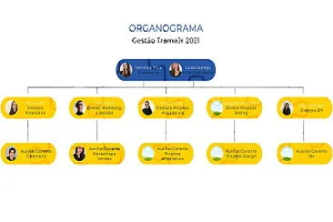 organograma teste jigsaw puzzle