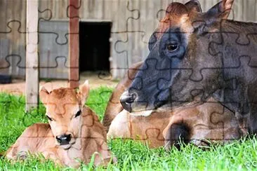 mom #338 jigsaw puzzle