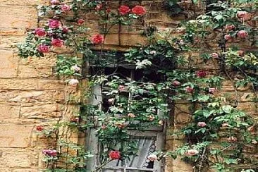 ventana jigsaw puzzle