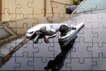 差不多 jigsaw puzzle
