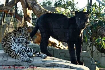 Zoo de Vincennes - Paris jigsaw puzzle